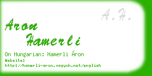 aron hamerli business card